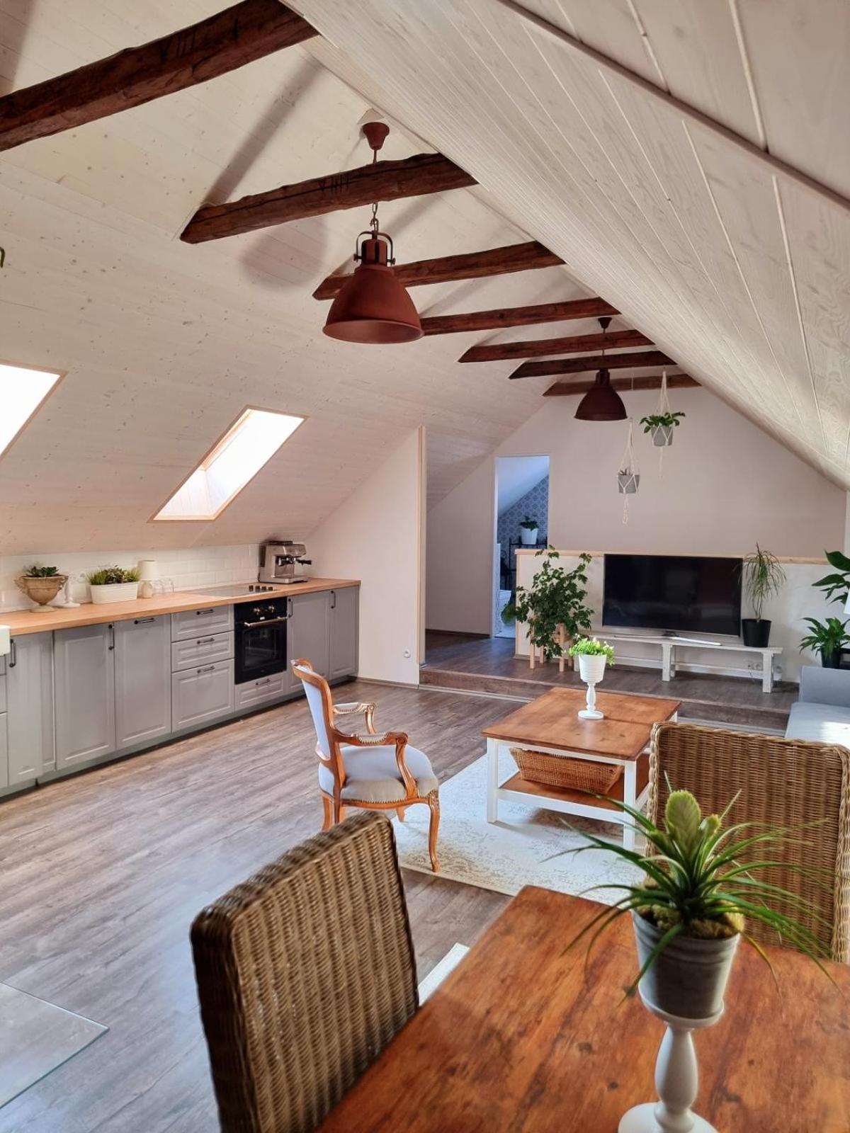 Apartman U Stef Borotice Dış mekan fotoğraf